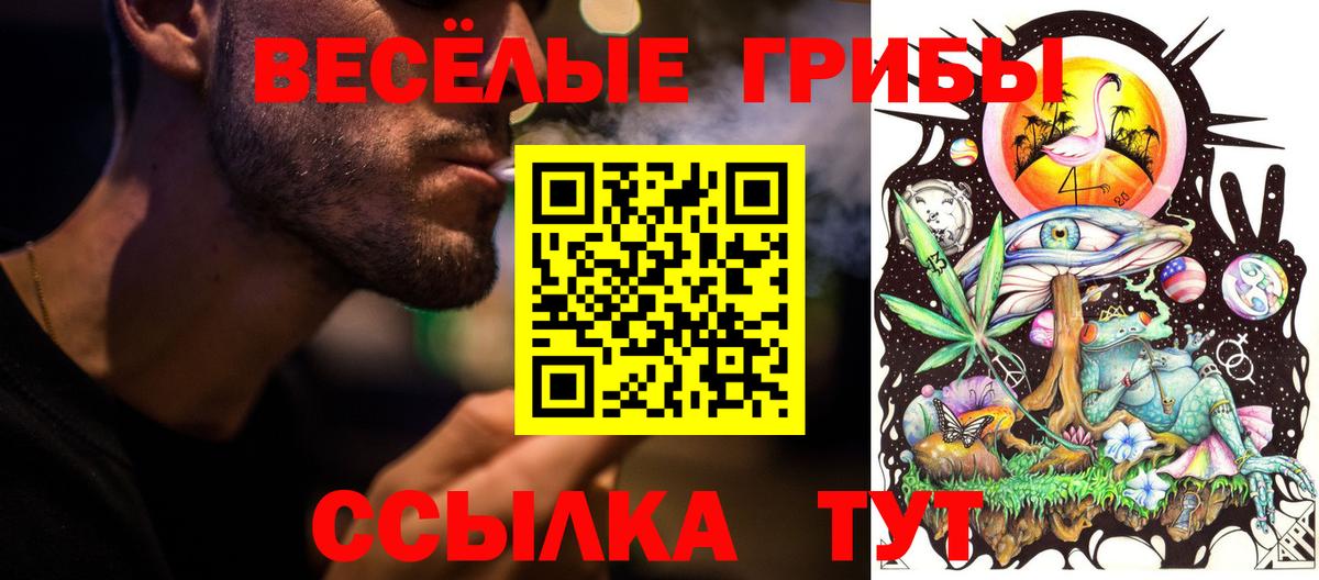 Лесозаводск  Галлюциногенные грибы мицелий  Вход с VPN 